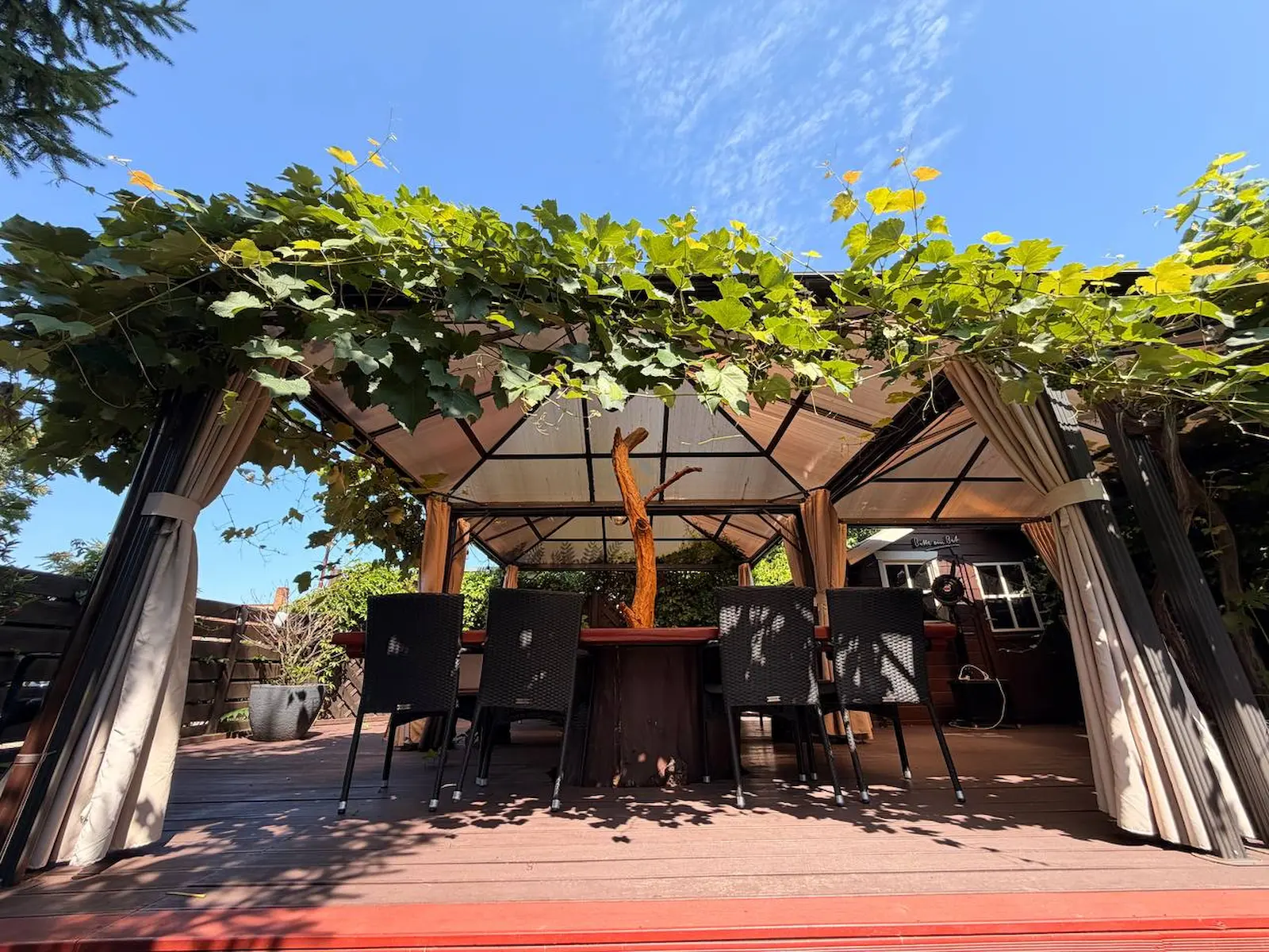 Innenhof und Terrasse des Restaurant Golestan